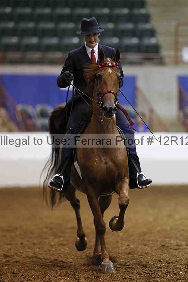 Proof Number 12r12_4478
