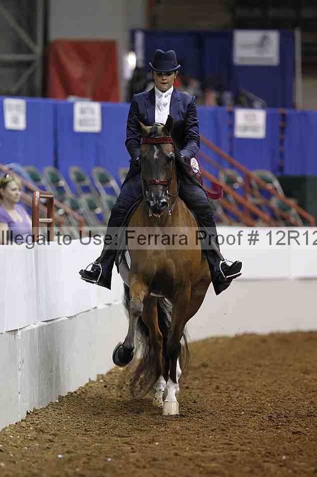 Proof Number 12r12_4479