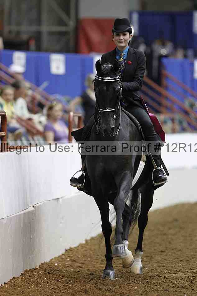 Proof Number 12r12_4482