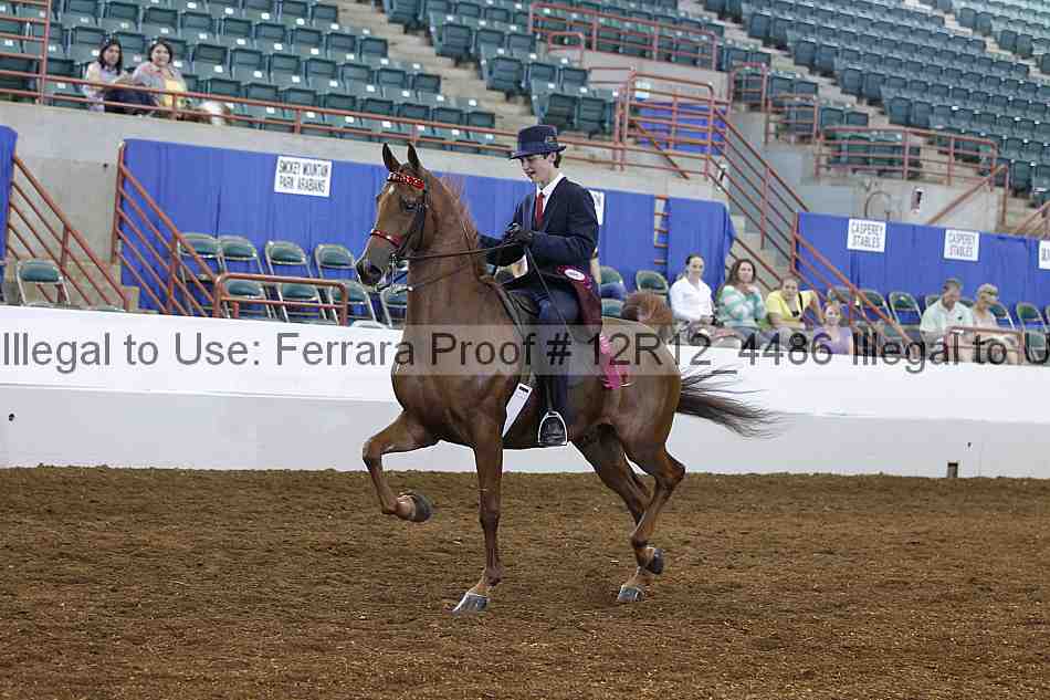 Proof Number 12r12_4486