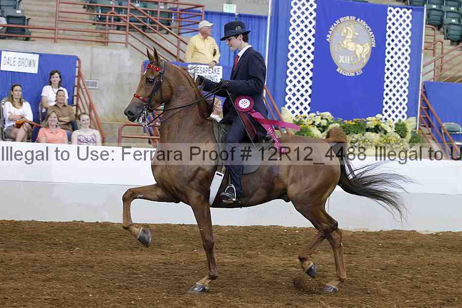 Proof Number 12r12_4488