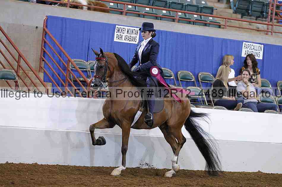 Proof Number 12r12_4489