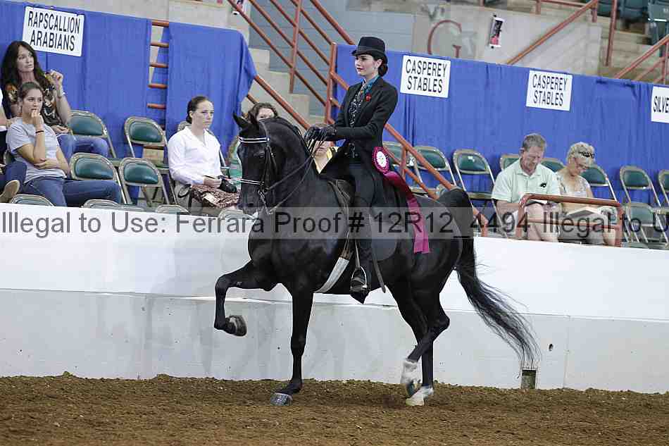 Proof Number 12r12_4494