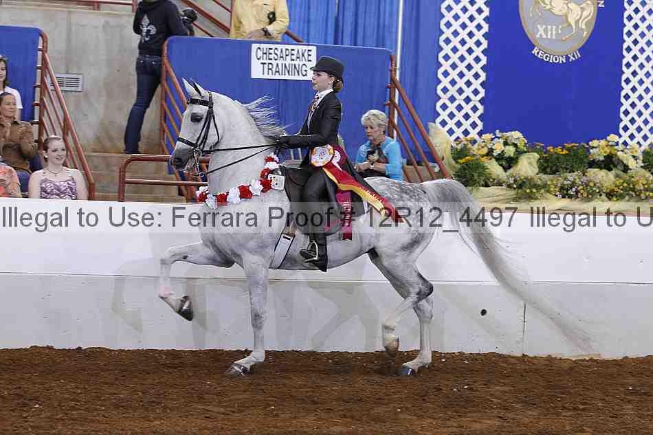 Proof Number 12r12_4497