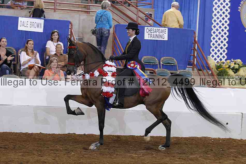 Proof Number 12r12_4499