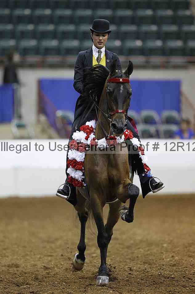 Proof Number 12r12_4500