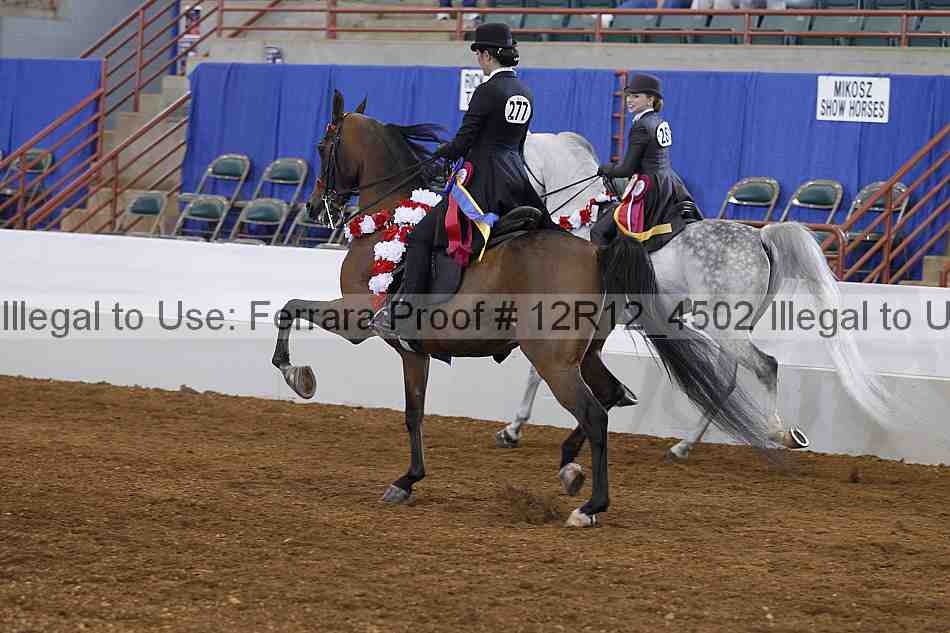 Proof Number 12r12_4502
