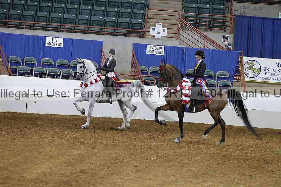 Proof Number 12r12_4504