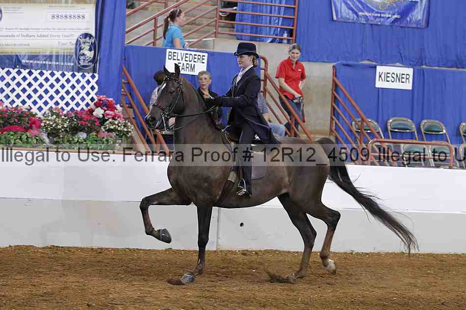 Proof Number 12r12_4509