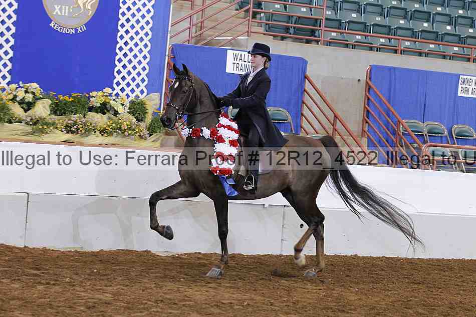 Proof Number 12r12_4522