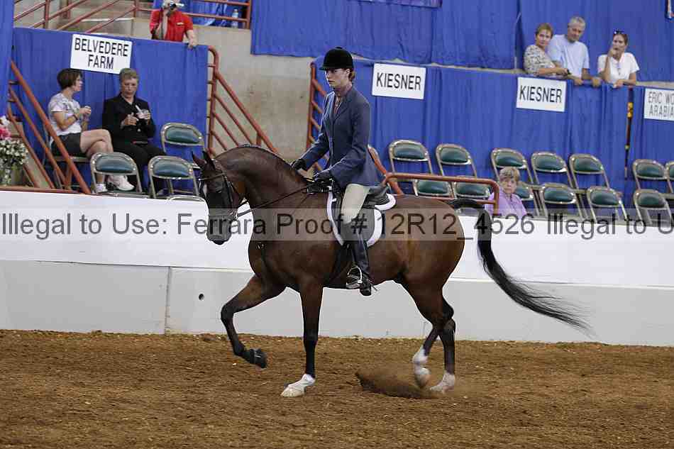 Proof Number 12r12_4526