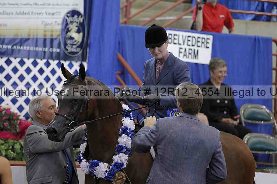 Proof Number 12r12_4554