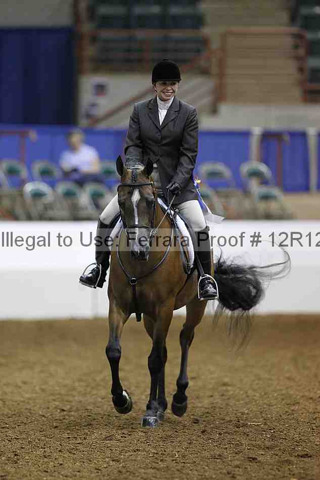 Proof Number 12r12_4559