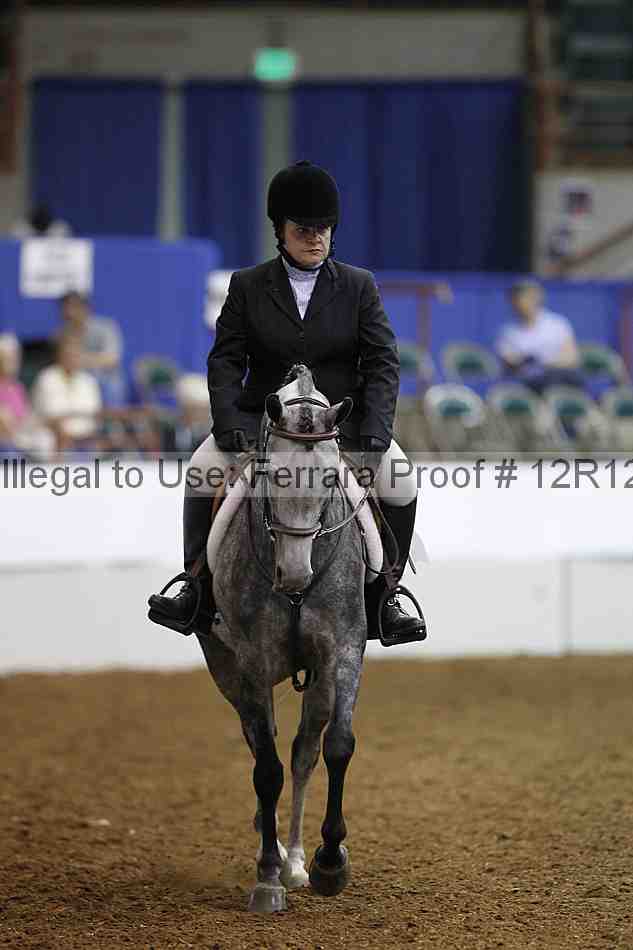 Proof Number 12r12_4560