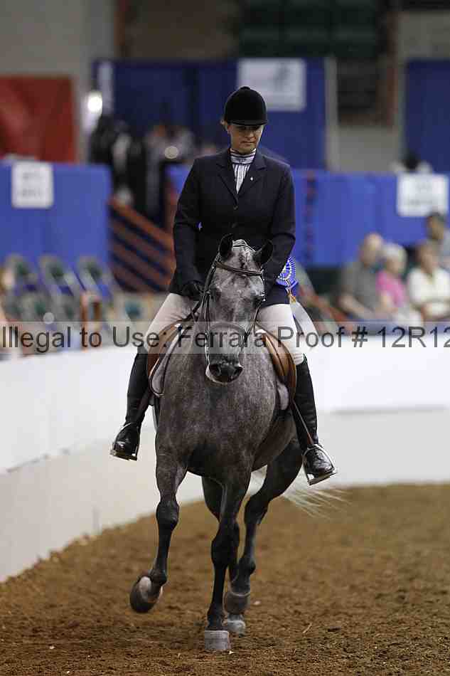 Proof Number 12r12_4561