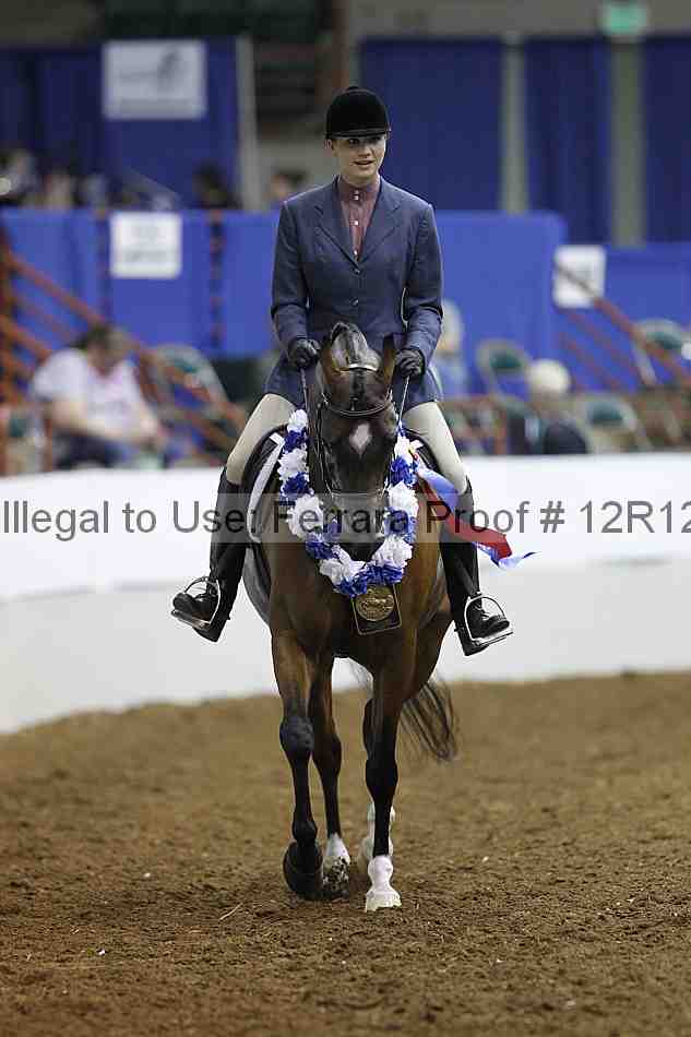 Proof Number 12r12_4565