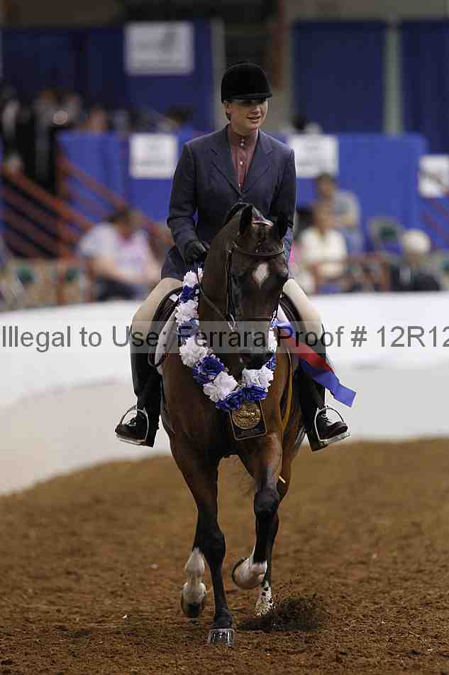 Proof Number 12r12_4566