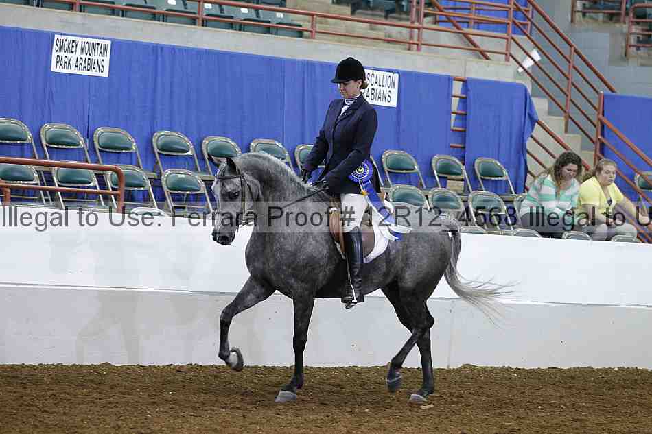 Proof Number 12r12_4568
