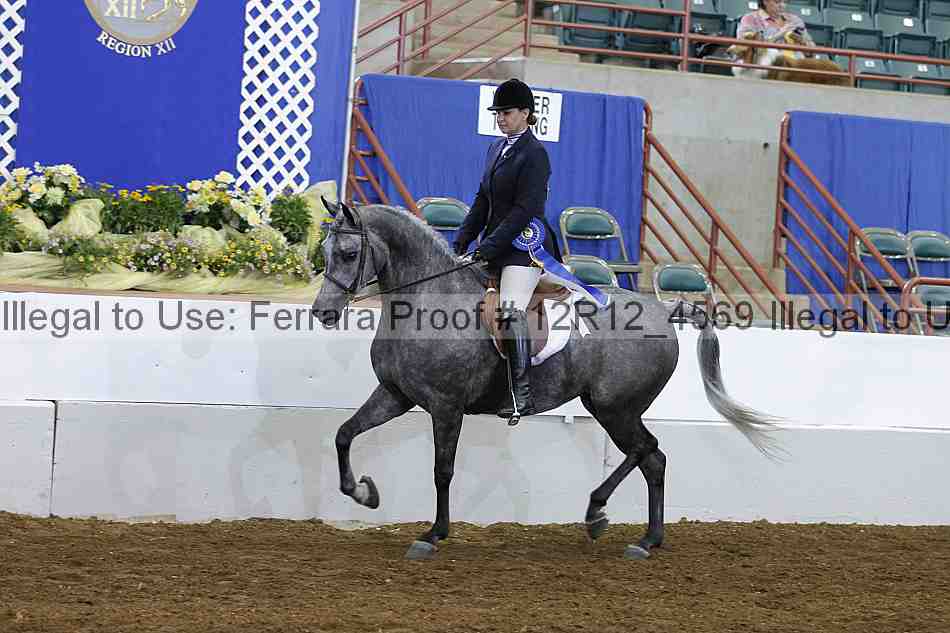 Proof Number 12r12_4569
