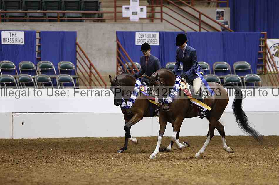 Proof Number 12r12_4573
