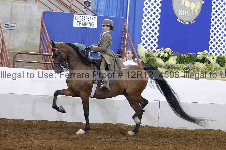 Proof Number 12r12_4596
