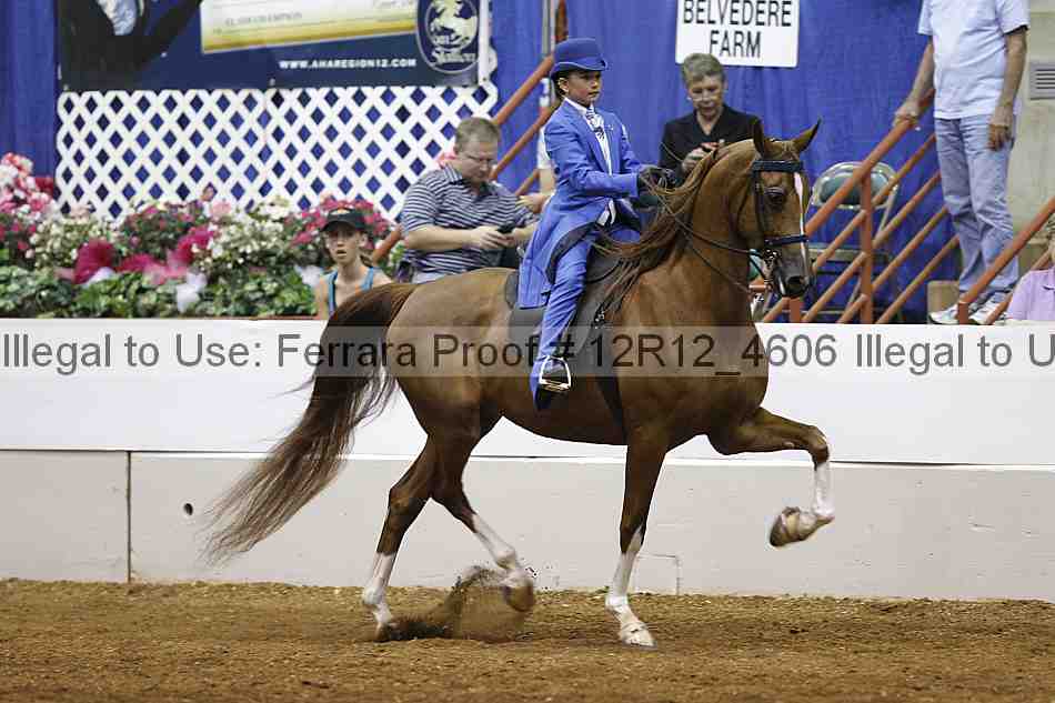 Proof Number 12r12_4606