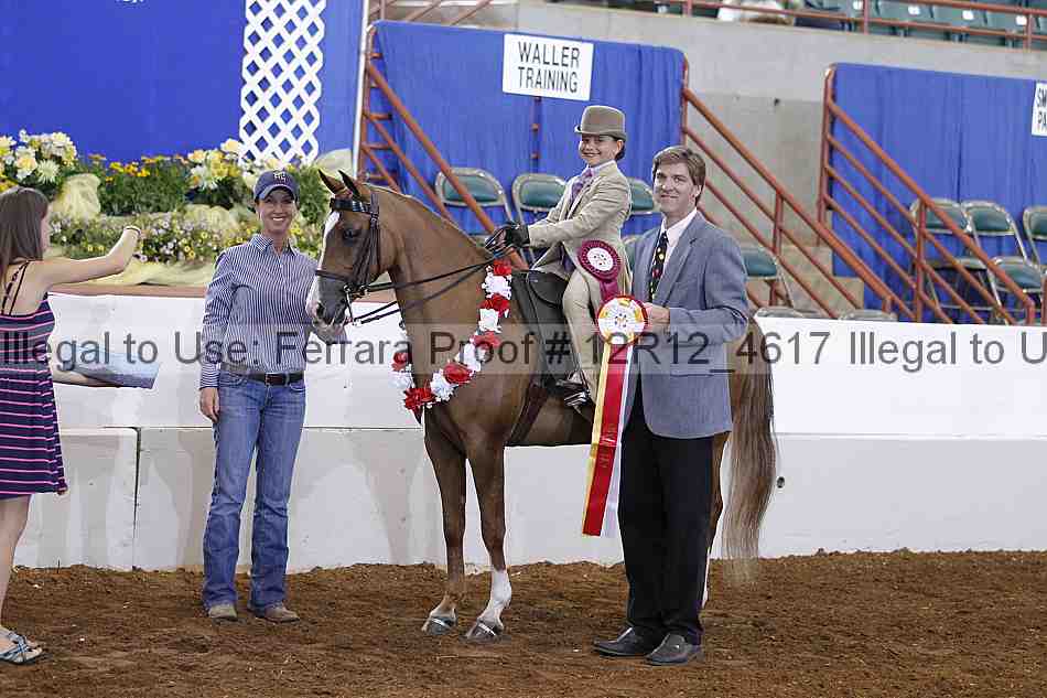 Proof Number 12r12_4617