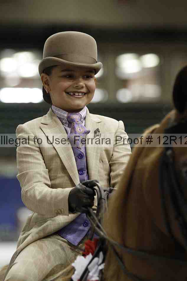Proof Number 12r12_4619