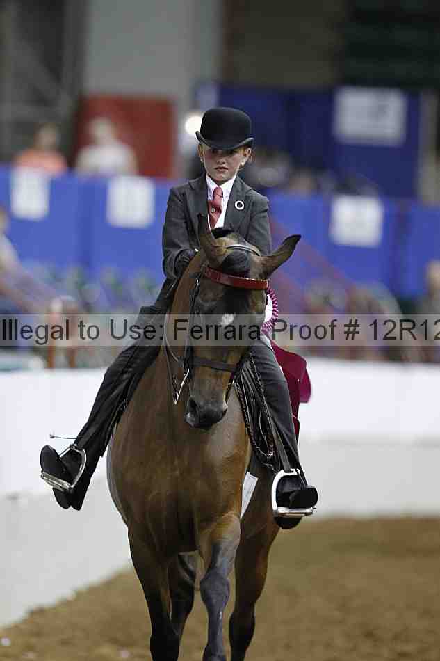 Proof Number 12r12_4649