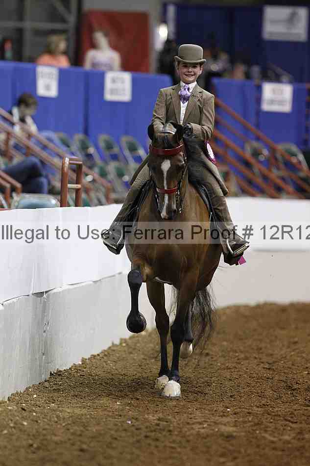 Proof Number 12r12_4650