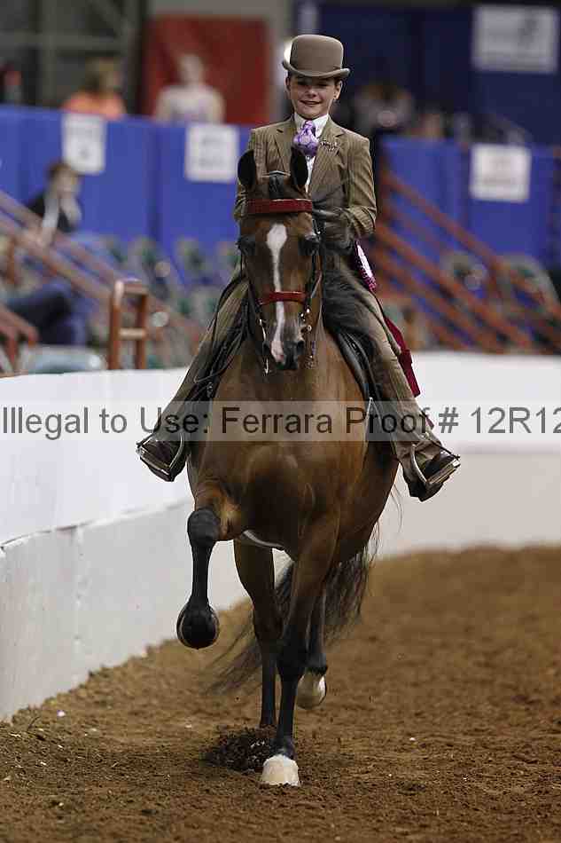 Proof Number 12r12_4651