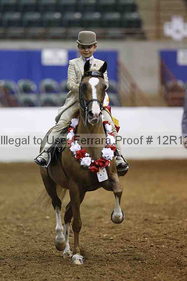Proof Number 12r12_4662