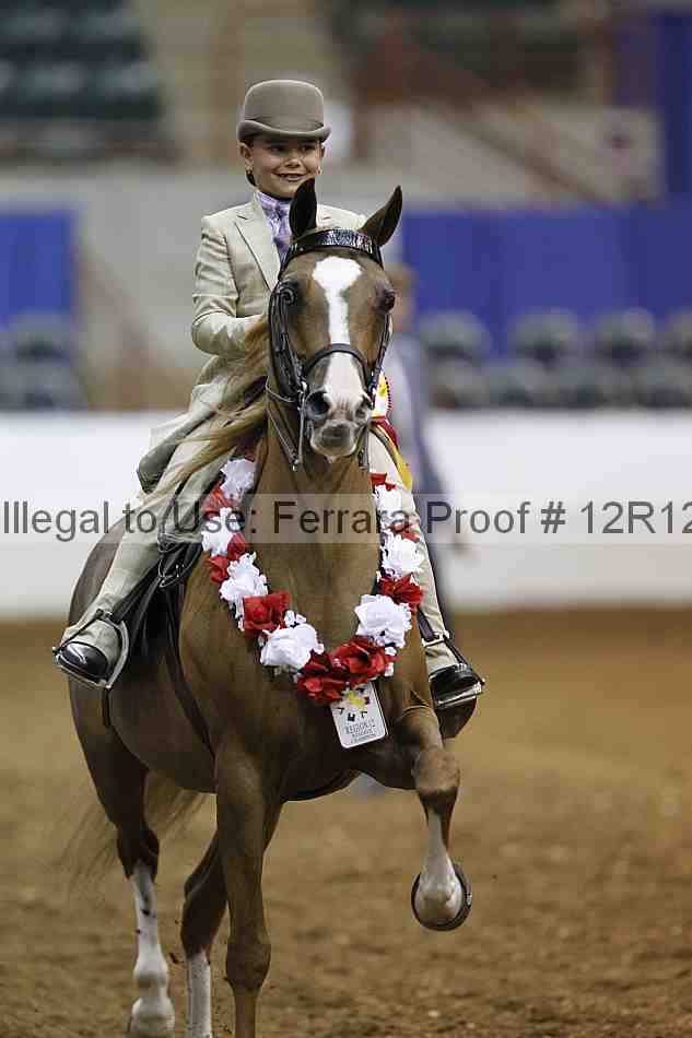 Proof Number 12r12_4663