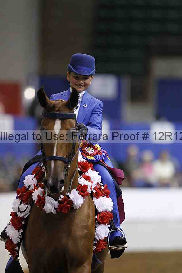 Proof Number 12r12_4667