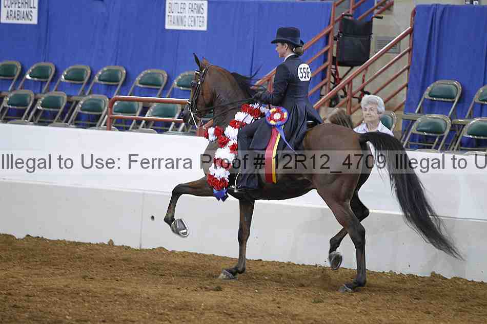 Proof Number 12r12_4709