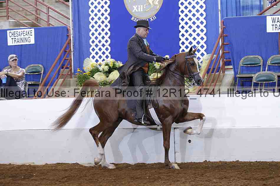 Proof Number 12r12_4741
