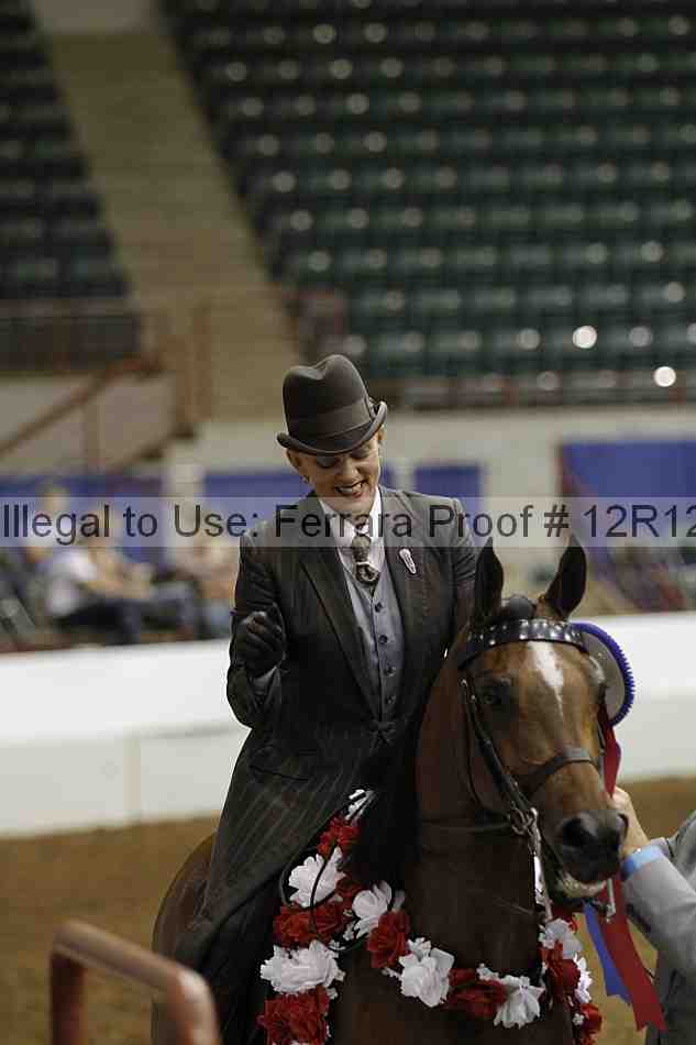 Proof Number 12r12_4756