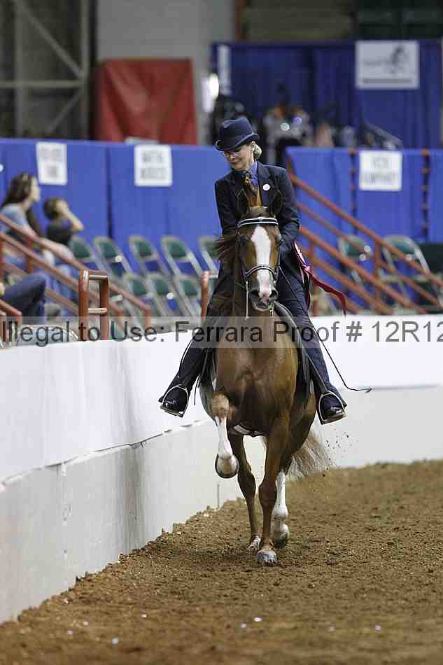 Proof Number 12r12_4761