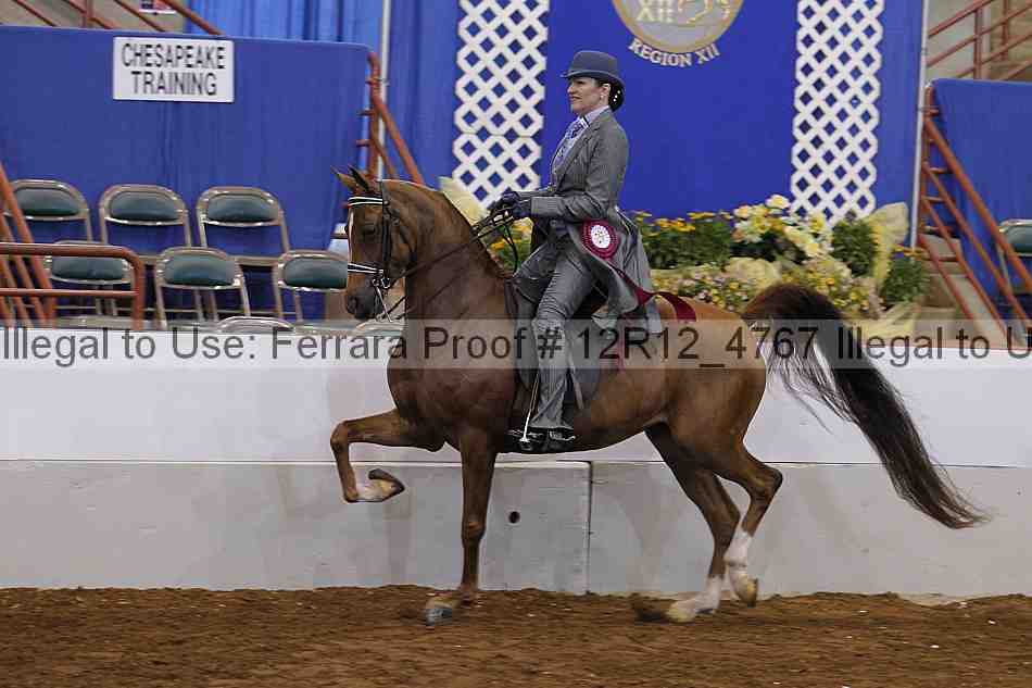 Proof Number 12r12_4767