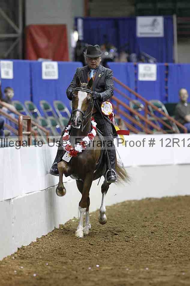 Proof Number 12r12_4769