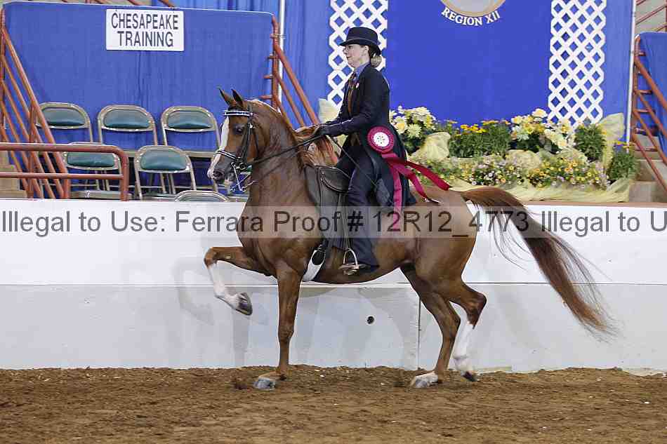 Proof Number 12r12_4773