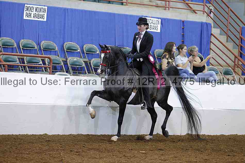 Proof Number 12r12_4775