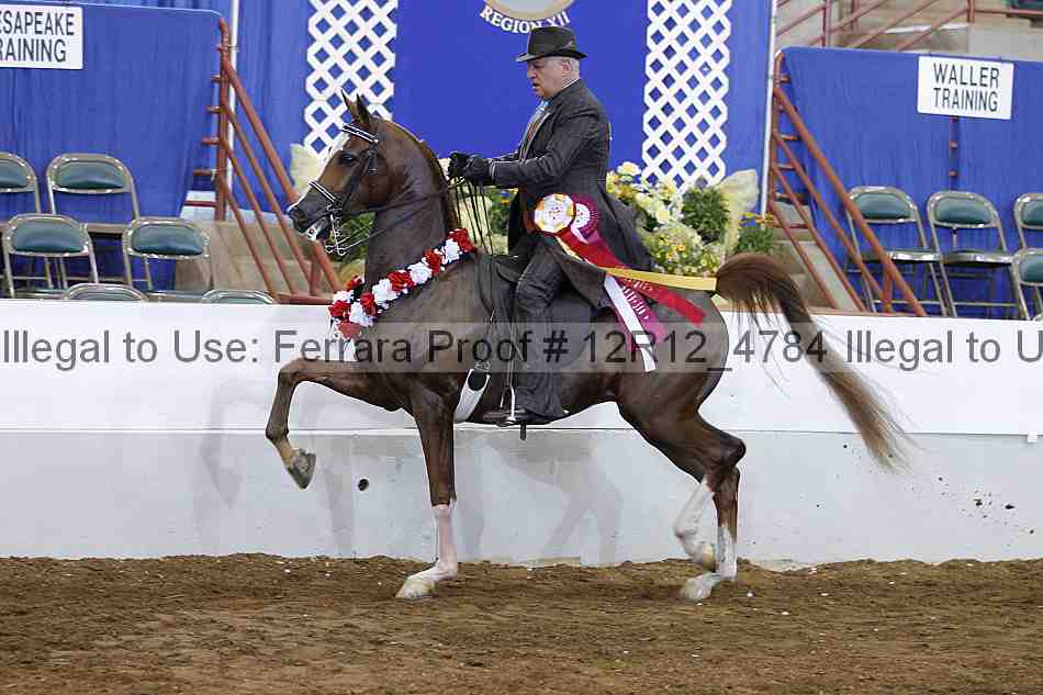 Proof Number 12r12_4784