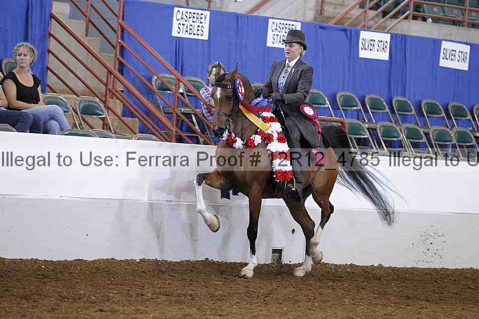 Proof Number 12r12_4785