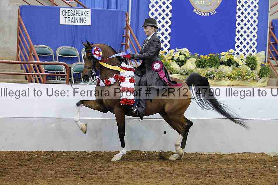 Proof Number 12r12_4790