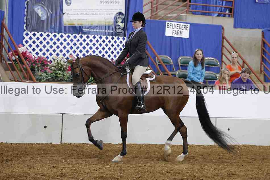 Proof Number 12r12_4804