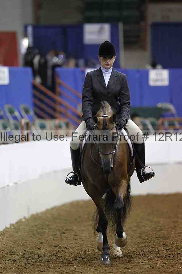 Proof Number 12r12_4812
