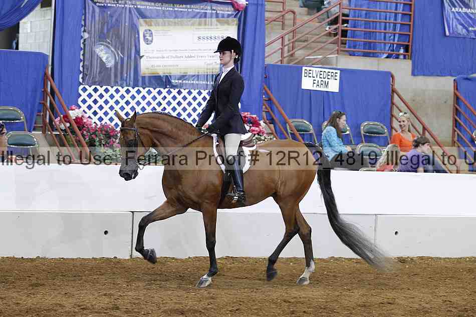 Proof Number 12r12_4819