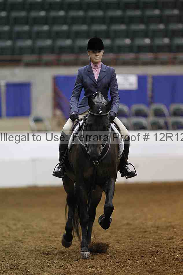 Proof Number 12r12_4821