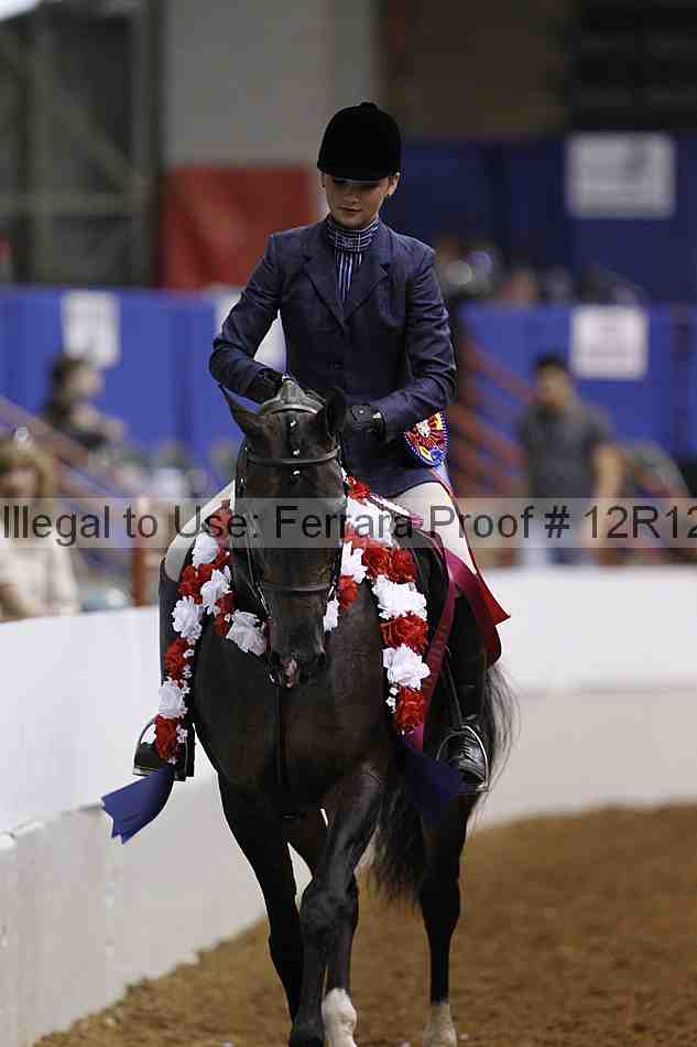 Proof Number 12r12_4828